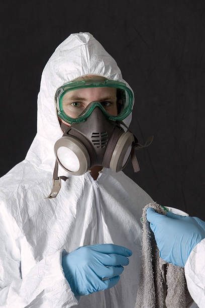 Trusted Gowanda, NY Mold Removal Experts